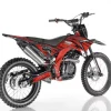 Apollo 250 DB-36 Adult Dirt Bike